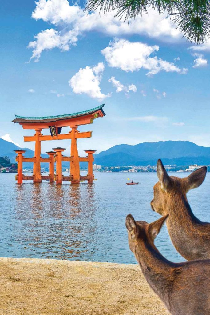 MIYAJIMA: L'ISOLA INCANTATA