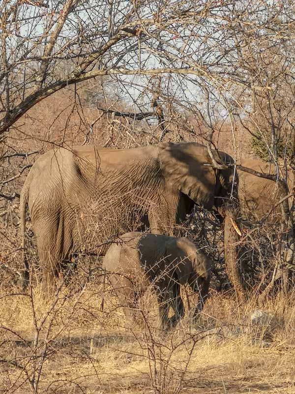 Diario di viaggio in sudafrica