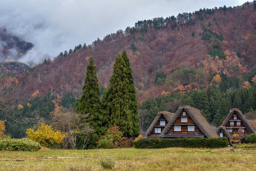 SHIRAKAWAGO